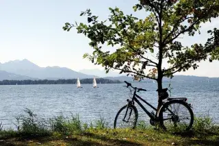 Ein Radl parkt an einem Baum am Ufer des Chiemsees