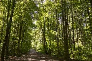 Der Südpark in Obersendling