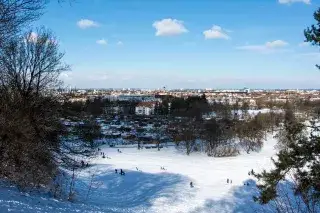 Schlittenfahren am Rodelhügel im Luitpoldpark