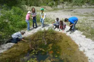 Kinder am Teich im Walderlebniszentrum Grünwald