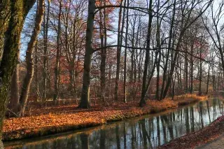 Herbst Landschaft am Eisbach im Englischen Garten