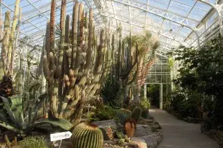 Kakteenhaus im Botanischen Garten