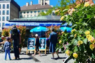 Sommer auf dem Viktualienmarkt