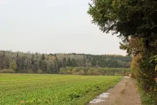 Feldweg in der Aubinger Lohe