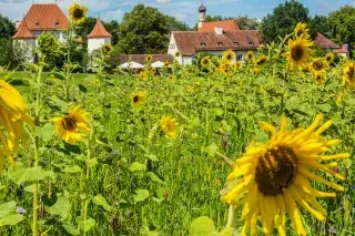 Schloss Blutenburg im Sommer