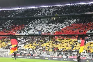 Fans der deutschen Nationalmannschaft bei einem Spiel in der Münchner Fußball Arena bilden eine Choreographie in den Landesfarben Schwarz, Rot und Gold.