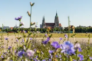 Die Thersienwiese mit Blick auf die Kirche St. Paul.