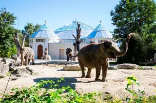 Das fertig gestellte Elefantenhaus im Tierpark Hellabrunn