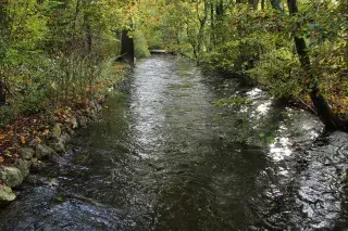 Würm, Fluss in Allach