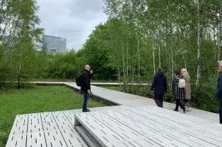 Birken, Aussichtsplattformen und besondere Pflanzenarten im Landschaftspark Baumkirchen Mitte in Berg am Laim