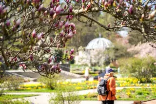 Botanischer Garten