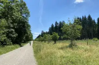 Radfahrer auf Weg im Forstenrieder Park