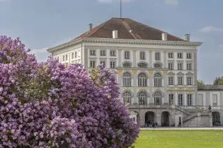 Fliederblüte am Nymphenburger Schloss