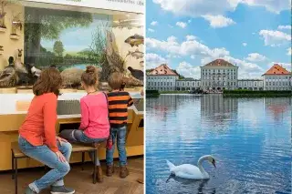 Museum Mensch und Natur/Schloss Nymphenburg