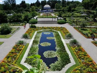 Überblick über den Botanischen Garten